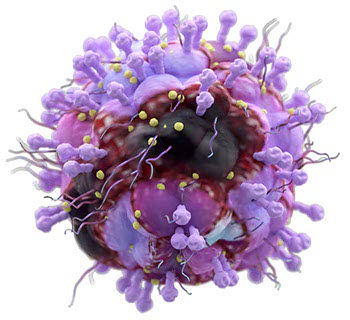 Herpes virus zoster