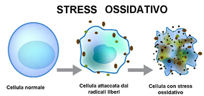 Stress ossidativo
