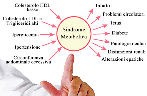 Cause e conseguenze della Sindrome Metabolica