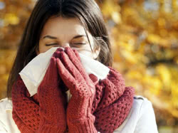 Fitoterapia contro raffreddore e influenza