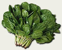 Acido Folico: spinaci