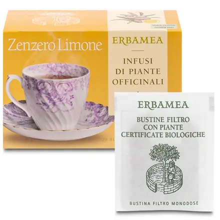 Zenzero Limone Infuso Biologico