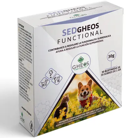 SedGheos Functional