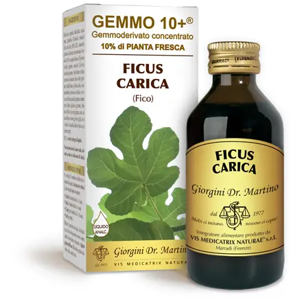 Ficus Carica Gemmoderivato Analcolico Gemmo 10+