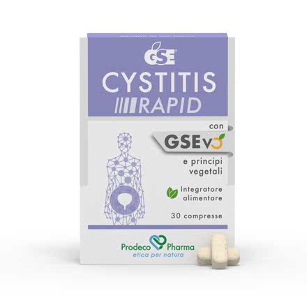GSE Cystitis Rapid