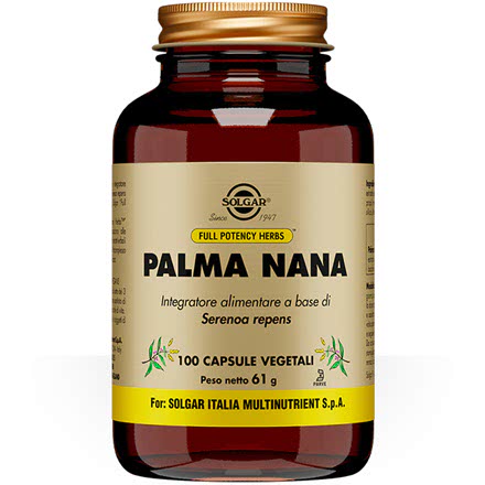 Palma Nana - Serenoa