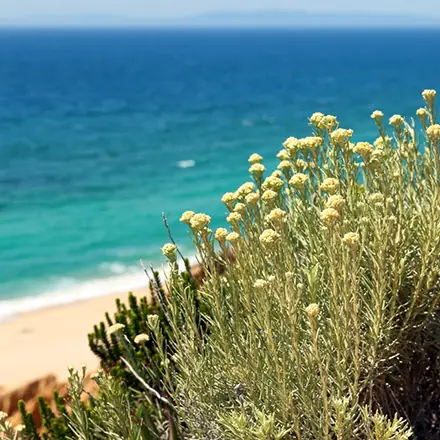 Prodotti della Sardegna