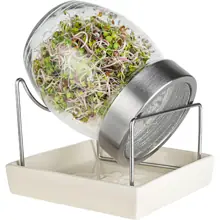 Barattolo Germogliatore Geo Jar