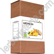 Lucuma Bio in Polvere