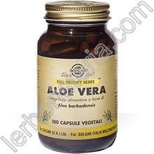 Aloe Vera