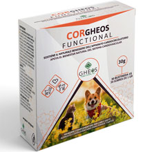 CorGheos Functional