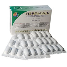 FibroAlgil