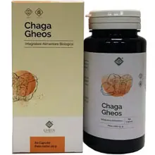 Chaga Bio