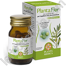 PlantaFlor