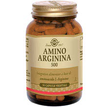 Amino Arginina 500