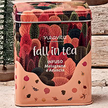 Fall in Tea Cozy Tin Barattolino con Infuso Melagrana e Arancia Bio Filtroscrigno