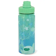 Tisaniere, bottiglie, thermos, tazze, filtri e accessori per tè, tisane e infusi